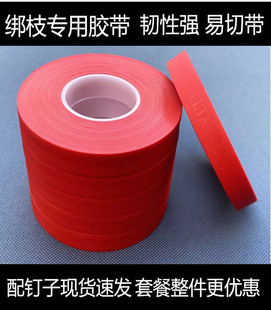 ��֦�C�z��PVC�Ӻ񽉎���ӷ��������}Ů����֦������������
