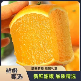 橙;柑桔;服务商品