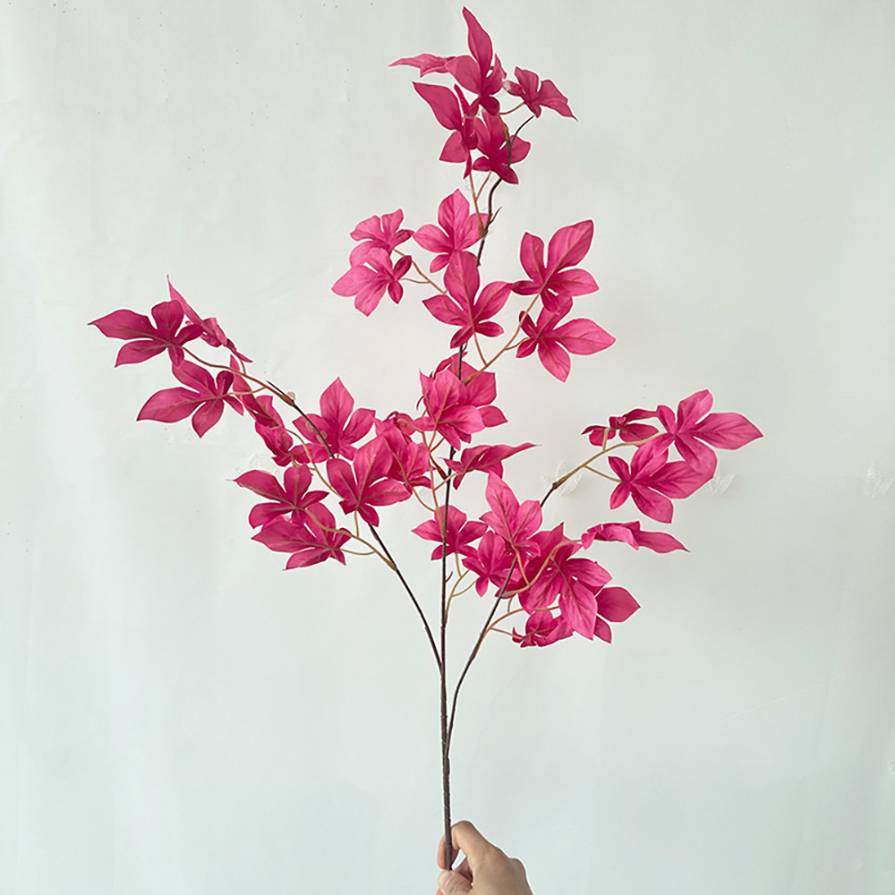 화려한 잎 장미 가루