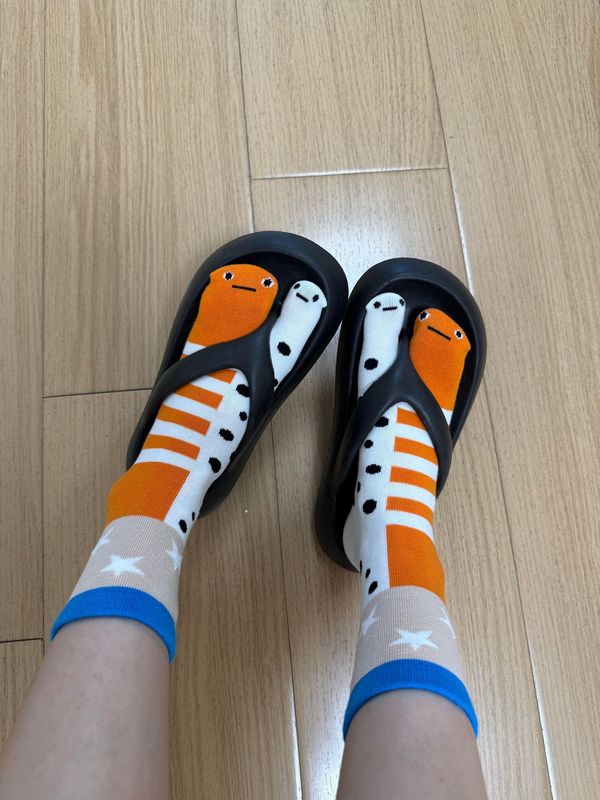 人字拖袜子女夏薄款分趾袜搞怪袜子女夏天二趾袜花园鳗袜子条纹袜|undefined