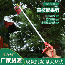 赢大高枝摘果剪伸缩摘果器树枝剪荔枝龙眼石榴柿子采摘剪园林工具