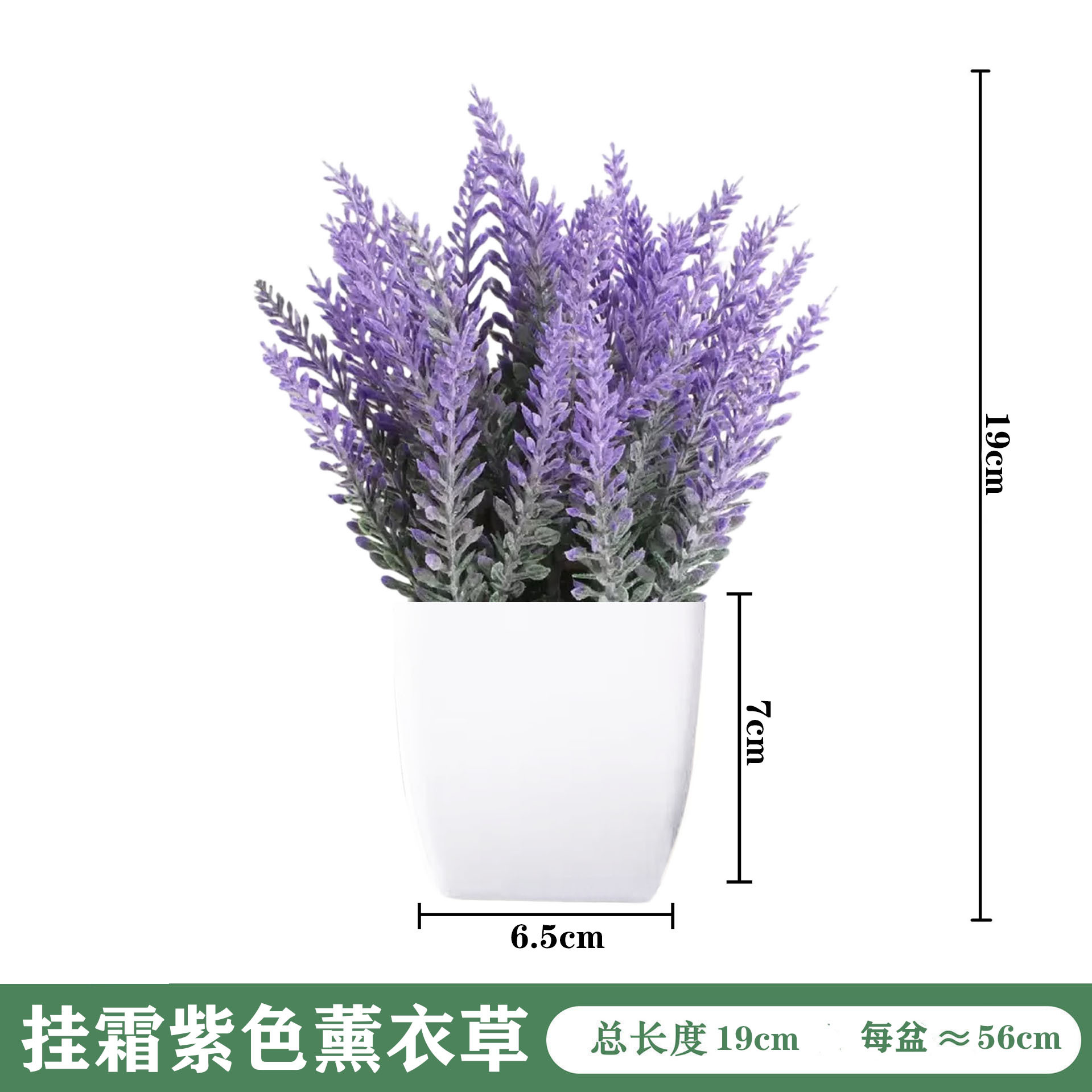 미니 화이트 화분 [서리가 내린 보라색 라벤더]