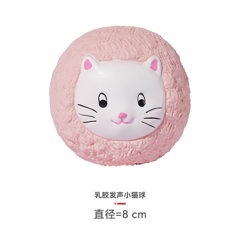 새끼 고양이 공