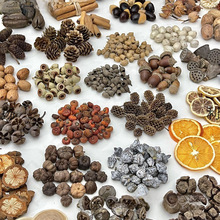 ɹľƬɹֲ˱ֹdiyɻϰb