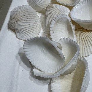 ��Ҭ��ؐ���ֹ�ˇƷ��Ȼ��ɫë��Ƥ�L�DIYԭ����ؐ���������