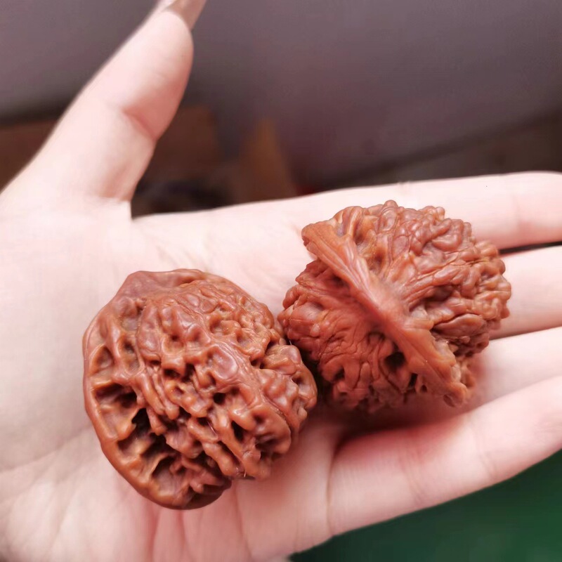 文はクルミの露店文を遊んでクルミの取っ手の件を遊んで、麒麟の紋様をペアにしてクルミを練習します。|undefined