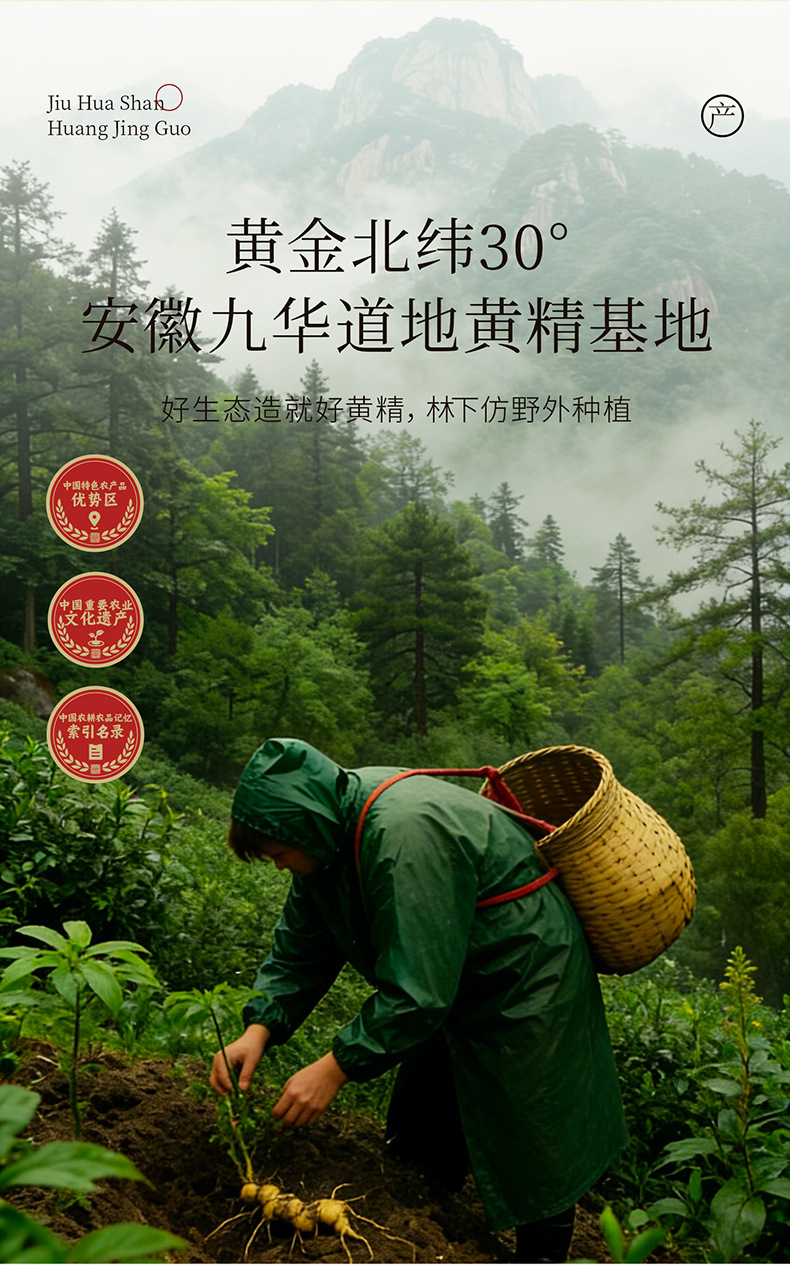 Organic Nine Steamed Nine Sun Dried Polygonatum Root Slices 70g Jiuhua Mountain Huang Jing for Herbal Tea key features