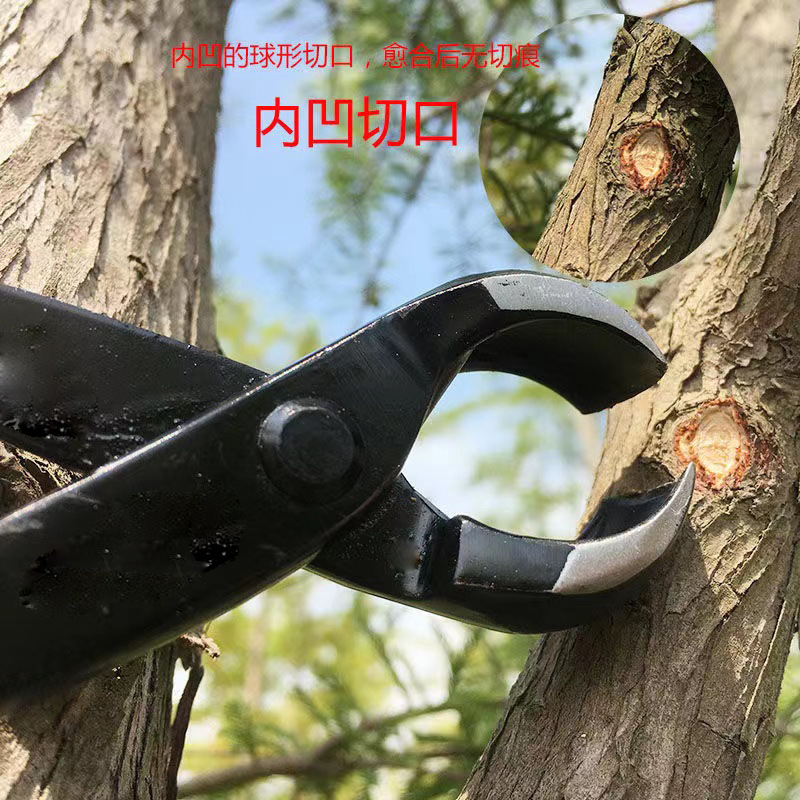 微信图片_202206051308015