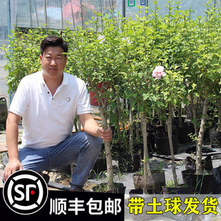 һ�����lľ�Ȼ�������B�༾�_�������Ե���ͥԺ�e���̨�G���ͺ�