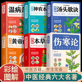 伤寒论张仲景正版原著伤寒杂病论黄帝内经本草纲目医学中医名著书