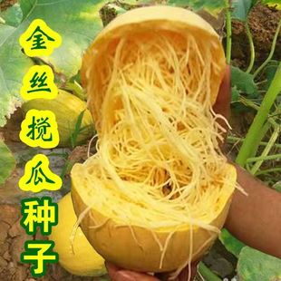 �ļ���z���ϷN�ӽ�z�g���߲˷N����Ȼ�۽z�ϹϽ�z���~��Ͻ�