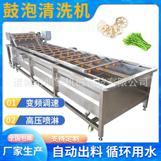 大型桑葚果蔬气泡清洗机 黄皮蓝莓清洗风干线 矮脚黄鼓泡洗菜机