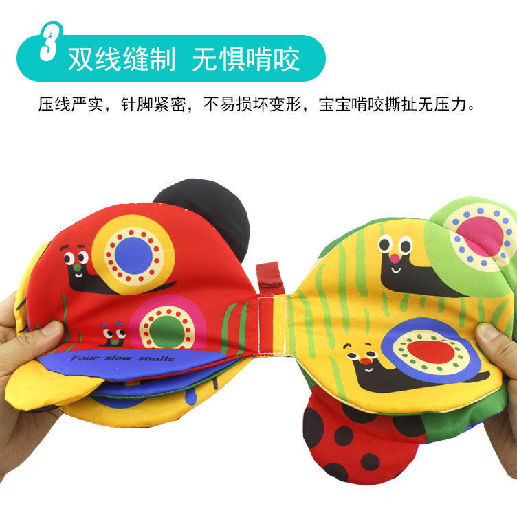 英文蝴蝶详情 (4)