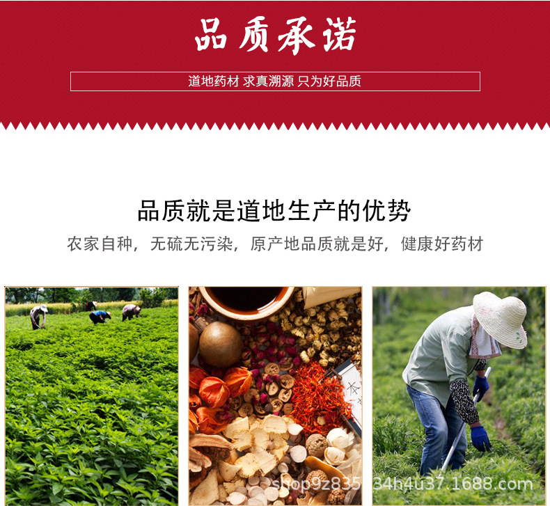 Dried Dandelion Root and Leaf Bulk Herbs Pu Gong Ying Taraxacum officinale for Tea and Decoction 50g Loose Pack key features