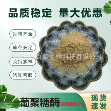 葡聚糖酶3万U/g CAS：9025-70-1 右旋糖酐酶 多活性 厂家直供现货