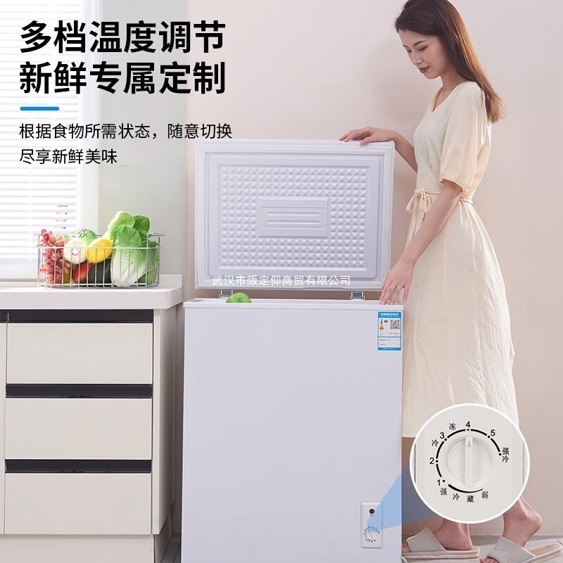 先科节能小冰柜家用迷你减霜商用冷柜小型全冷冻冷藏两用冷柜|undefined