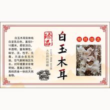 �M����Ģ�����خa�`֥Ұ������ξ��y�������z�˺���ճ�N��