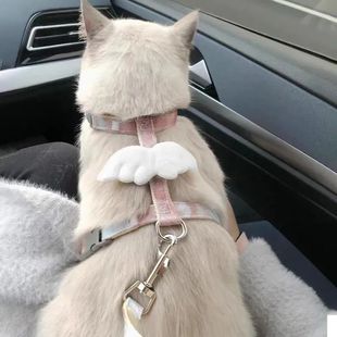 Cat Leash for Going Out, Cute Wings, Adjustable Pet Small Special Chain, Dog Harness Rope
