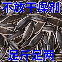 l؛oĿԭζӿӳ؛Сʳ