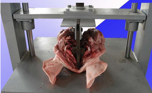 �����i�^����C �Ԅ������ �i�^���׼ӹ��O��