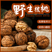 n云南古树丑核桃新货高山野生纸皮无漂洗干核桃孕妇小孩散装