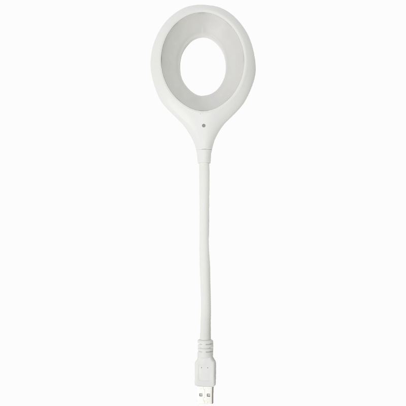 White Chinese Intelligent Voice Light
