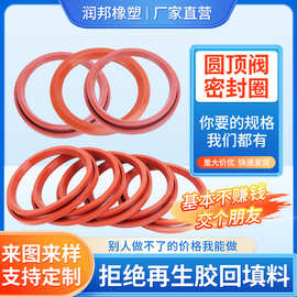 加工电厂圆顶阀密封圈耐高温切换阀密封圈密封件插入式橡胶密封件