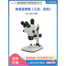 �Ϻ��ː�ķXTL-BM-9T/9TD/9TP�B�m׃���wҕ�@΢�RĿ6.5��65X