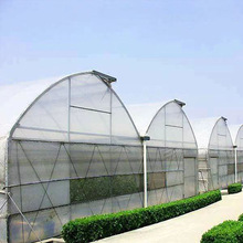 薄膜温室大棚拱棚 花卉养殖草莓采摘园大棚 蔬菜暖棚日光温室大棚