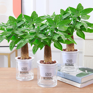 �lؔ���҃�С���ԾGֲ����ˮ��ֲ��G�}�����ļ����B���k��������