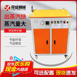 混凝土蒸汽养护器 桥梁蒸汽发生机 全自动蒸汽锅炉48kw蒸气发生机