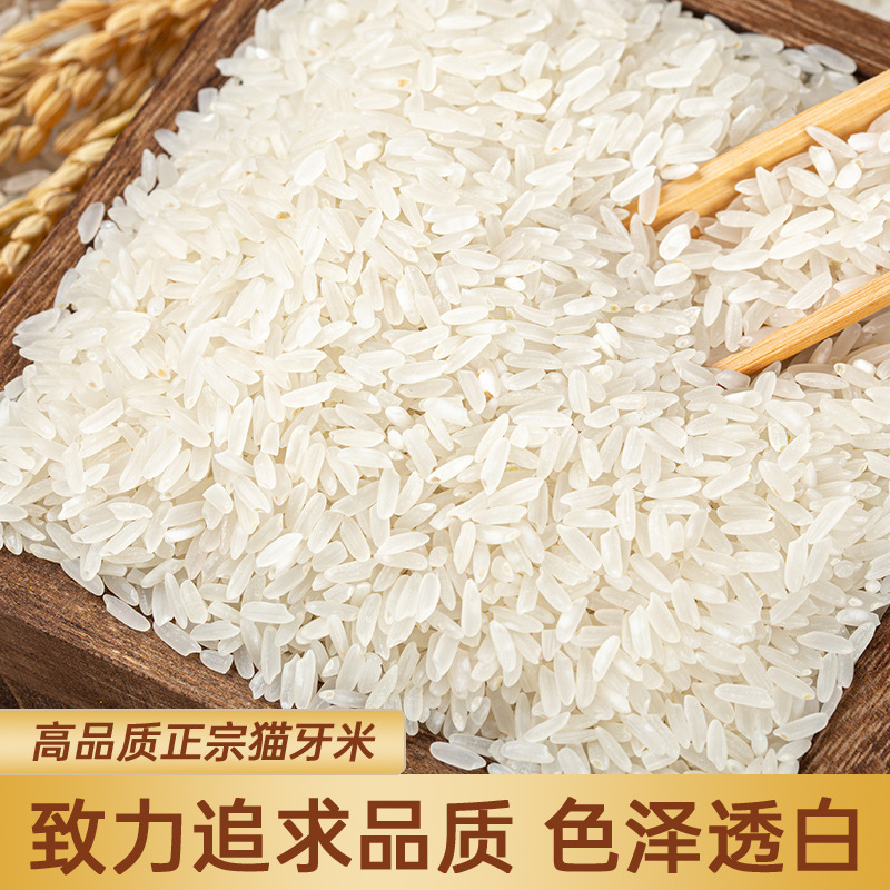 Xianggufang рис кошачий зуб 500 г риса 5,00 кг хранение риса вакуумный рисовый кирпич 0,50 кг хранение риса оптовая благосостояние сезон новый рис