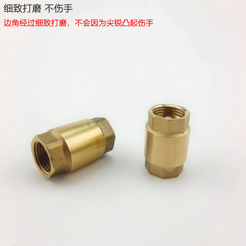 Brass vertical spring check valve water pipe water pump valve 4 separate check valve one-way water meter front valve check valve