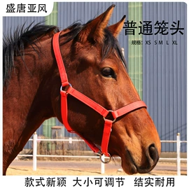 其他运动护具;体操/运动垫;马术用品