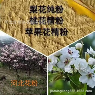 ������  ɽ�r����  ����� ���� �S��  �ʹ�����ڷی��ø߻��ԃ�