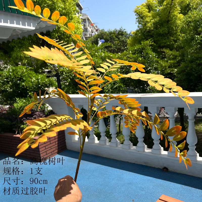 槐树叶10大功劳叶霸王蕨波士顿大盆长叶垂吊肾蕨栽绿植蕨类挂藤