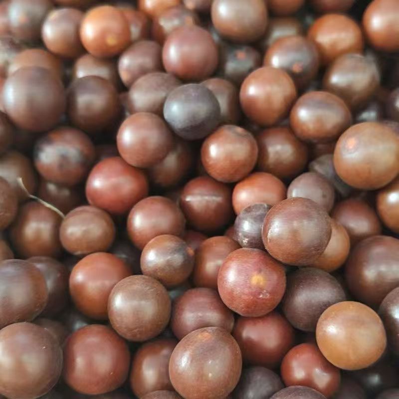 Sun Fruit (Tai Yang Guo) — Dried Food Herb for Cooking & Herbal Soups, 500g key features
