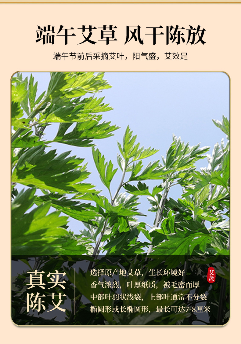 Wild Dried Mugwort Leaves Ai Ye 500g for Foot Soak Bath and Traditional Herbal Care key features