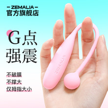 ZEMALIA枕木恋 瞬喜跳蛋情趣用品强震成人性爱女用自慰玩具 60/箱