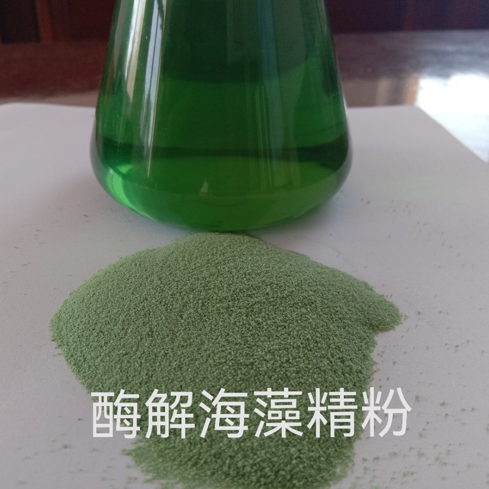 海藻酸海藻精酶解全水溶海藻精粉鱼溶浆鱼蛋白粉全水溶量大优惠