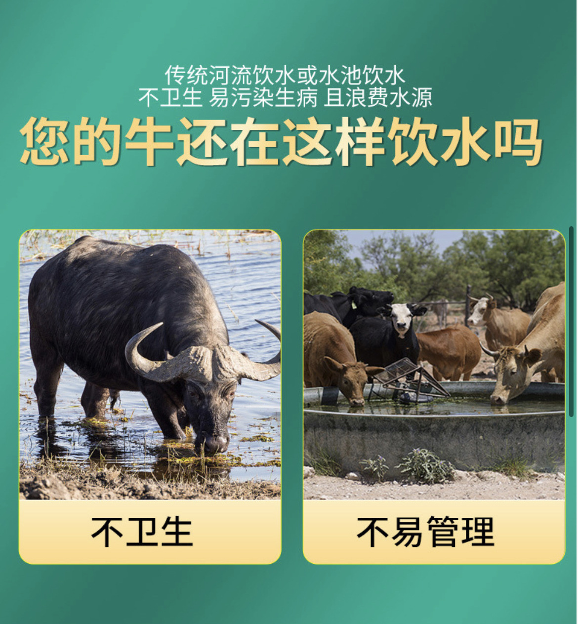 詳情4.jpg