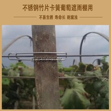 ����@��������ѱ�������Ƭ䓽z���۲��P�ʮ�̶ֹ���픻�픏��S