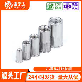 不锈钢平头拉铆螺母竖条纹铆接螺帽光身小沉头半六角盲孔拉铆螺母