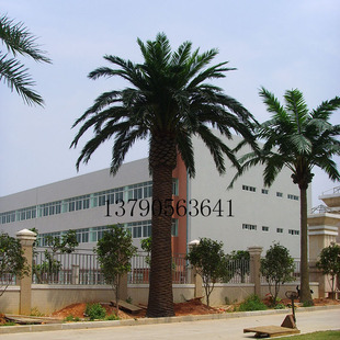 ���溣����~�����Ҭ�Ә乤�S���������٘����˿��ȿ��侰�^��