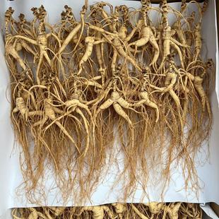 �L��ɽ����ɽ�� �х� 15-20����؛ ԭƤԭ�  ������؛ ���˅�