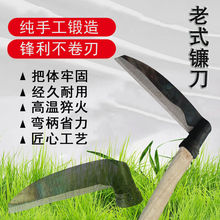 ʽyֹ呴i䓿砵ݵһуÑrùL