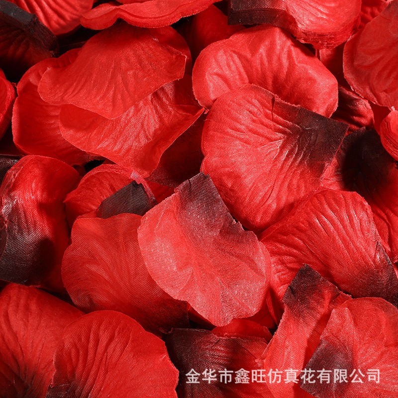 37 빅 레드 블랙 하트