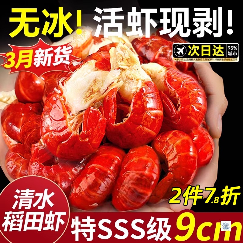 龙虾尾冷冻鲜活小龙虾无冰衣龙虾尾特级大号虾球鲜冻批发生鲜整箱