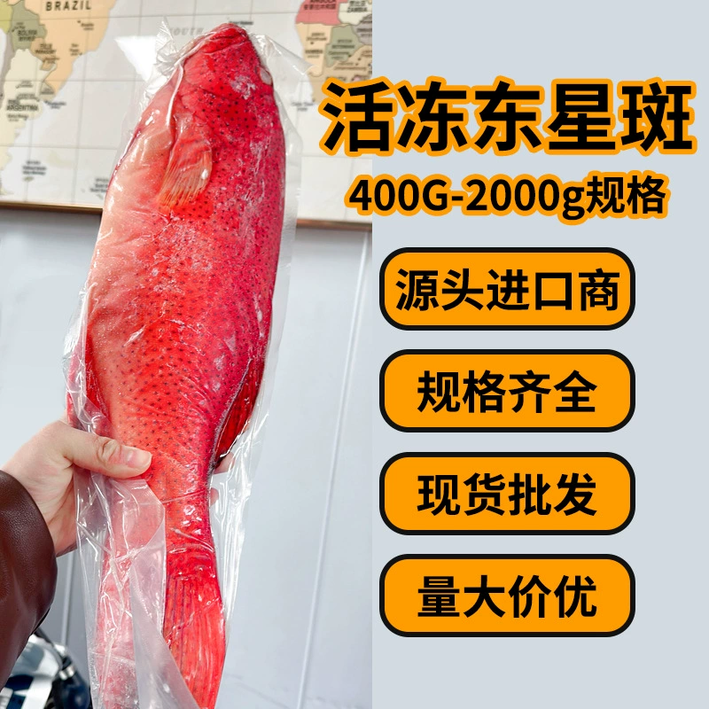 Спот глубоководные дикие восточные звездные пятна свежие замороженные красные окуни