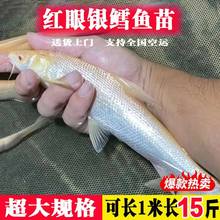 ��Ŀ�t���y�L�~���S����z�L�~��ˮ������ؔ�^�pʳ�ô��[?�L�~��